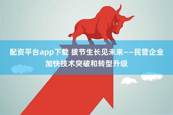 配资平台app下载 拔节生长见未来——民营企业加快技术突破和转型升级